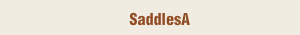 SaddlesA