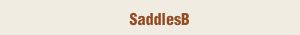 SaddlesB